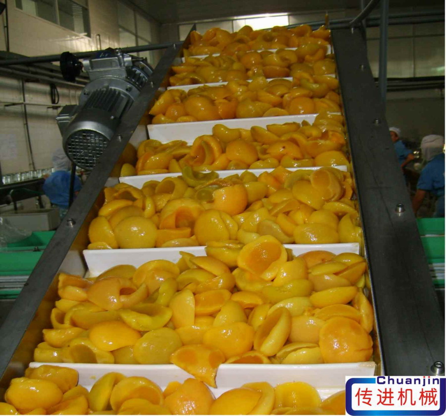 食品輸送機==食品級皮帶提升機、非標輸